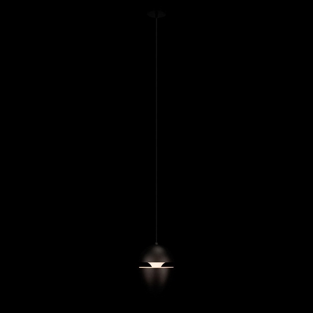 Подвесной светильник Loft IT Viterbo 10336 Black фото 5