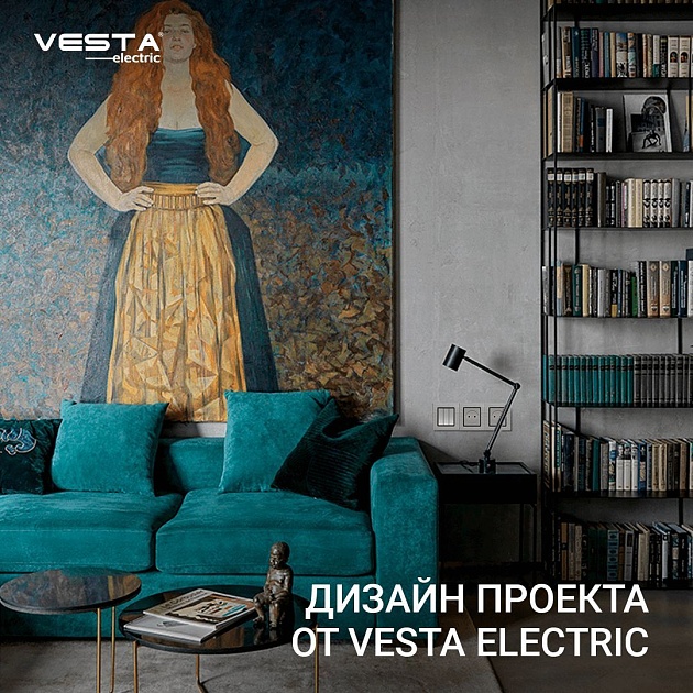 Розетка 2P Vesta-Electric Exclusive Silver Metallic серебро FRZ00041010SER фото 6