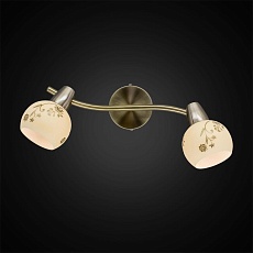 Спот Citilux Соната CL520523 5