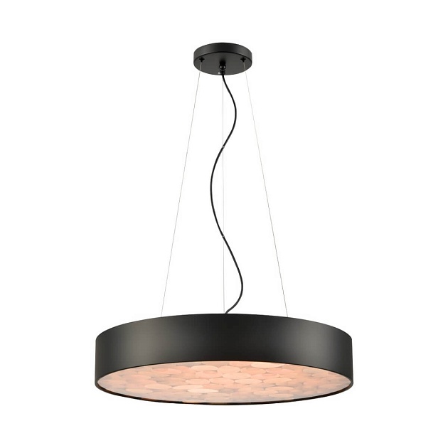 Подвесная светодиодная люстра Wertmark EDERA WE510.01.723 Фото № 1