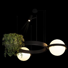 Подвесной светодиодный светильник Loft IT Jardin 10121/2 2