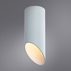 Потолочный светильник Arte Lamp Pilon A1615PL-1WH 2