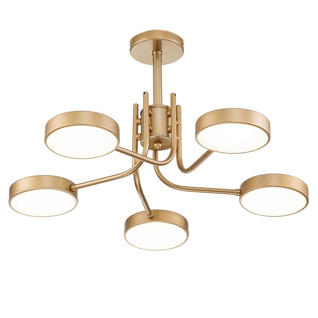 Потолочная светодиодная люстра Escada Skylar 10258/5LED Фото № 1