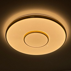 Потолочный светодиодный светильник Profit Light 2096/450 WH+CR 2