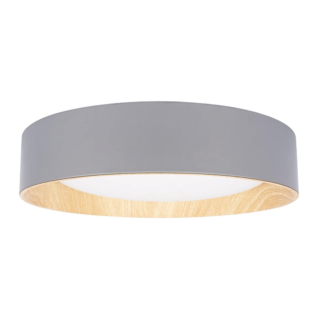Потолочный светодиодный светильник Loft IT Coin 10202 Grey изображение 3 Потолочный светодиодный светильник Loft IT Coin 10202 Grey Фото № 3