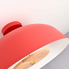 Потолочный светильник Imperium Loft Globemi Red D38 307159-26 5