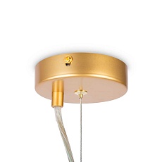 Подвесной светильник Maytoni Dallas MOD545PL-06G 4
