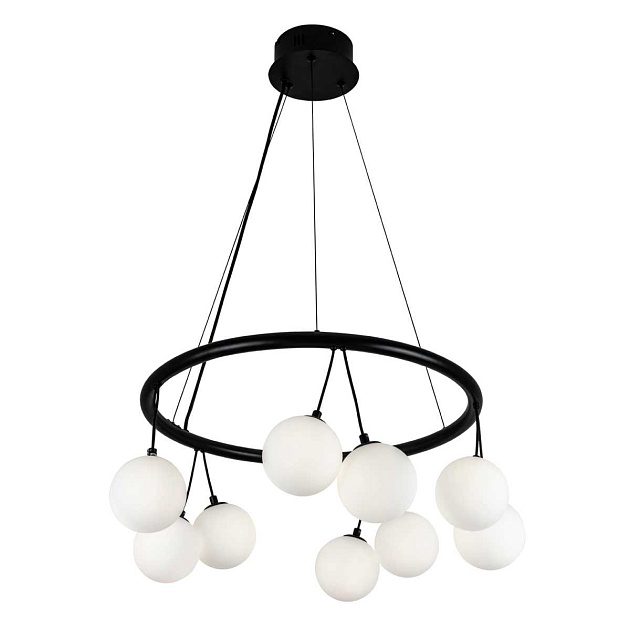 Подвесная люстра Modelux Modestyle MS.6120.10 BK Фото № 1