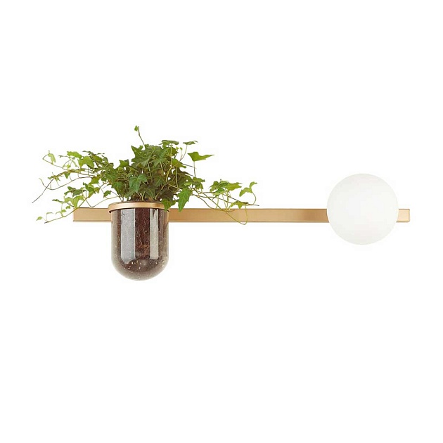 Настенный светильник Odeon Light Walli Flower 4682/1WA изображение 1 Настенный светильник Odeon Light Walli Flower 4682/1WA Фото № 1