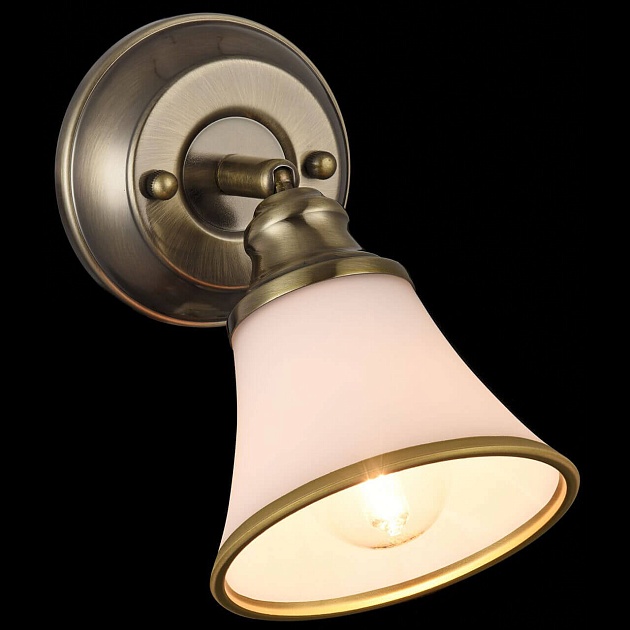 Спот Freya Jasinta FR2272-WL-01-BS Фото № 3