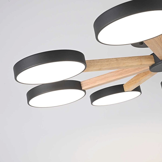 Люстра Imperium Loft TURNA01 178341-26 Фото № 12