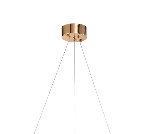 Подвесной светильник Zortes RINGER ZRS.57792.96 Фото № 5