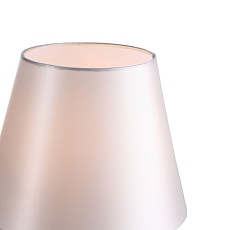 Настольная лампа ST Luce Opalus SL1403.304.01 2