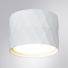 Потолочный светильник Arte Lamp Fang A5552PL-1WH 2