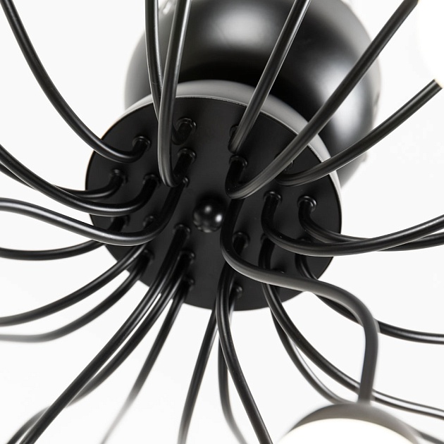 Потолочная светодиодная люстра Arte Lamp Dexter A3619PL-24BK Фото № 3