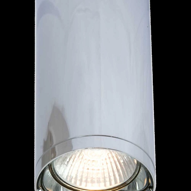 Потолочный светильник Maytoni Alfa C010CL-01CH фото 2