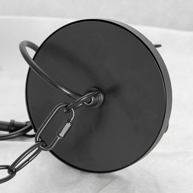 Подвесная люстра Lussole Loft CARROLLTON LSP-8735 Фото № 4