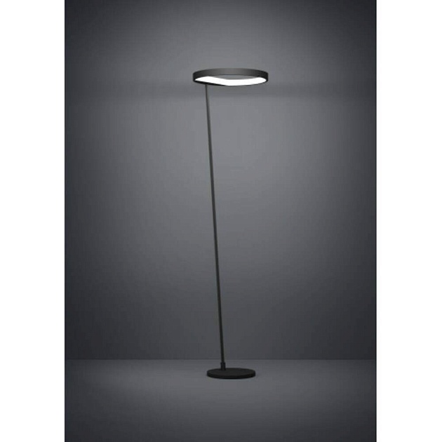 Торшер Eglo CAREDARA 390167 Фото № 2