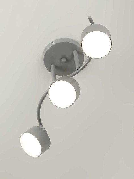 Спот Rivoli Vivien 7077-703 Б0069923 Фото № 6