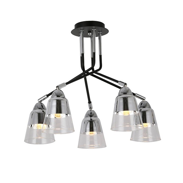 Потолочная люстра Evoluce Lirino SLE102902-05 Фото № 1
