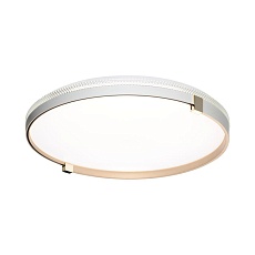 Настенно-потолочный светильник Sonex OLIDI WHITE 7646/DLN 1