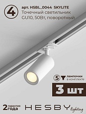 Накладная однофазная трековая система Hesby Lighting Skylite №3 со светильниками HSBL_kompl_S003_NI1W3K 1