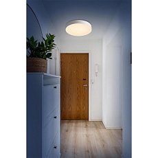 Настенно-потолочный светильник Sonex BASICA 7779/ELN 2