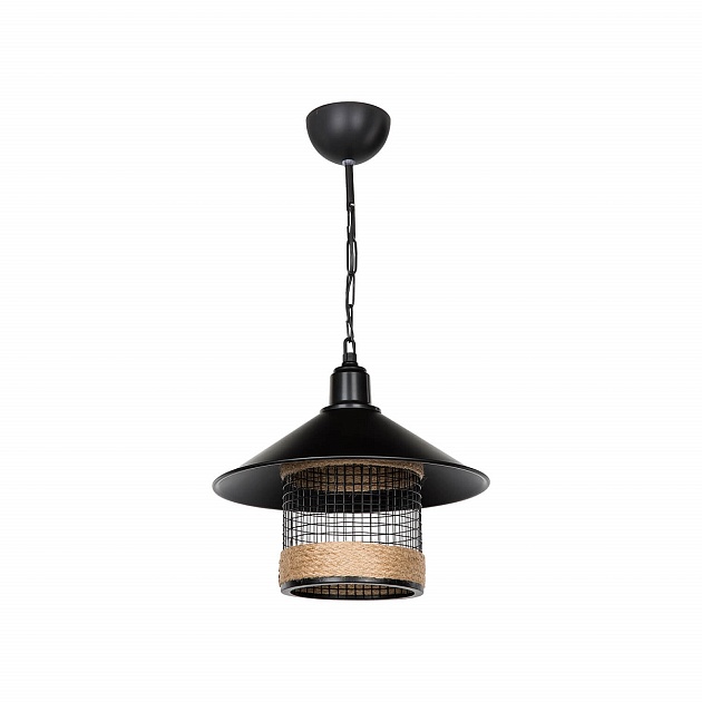 Подвесной светильник Toplight Bryana TL1644H-01BK Фото № 1