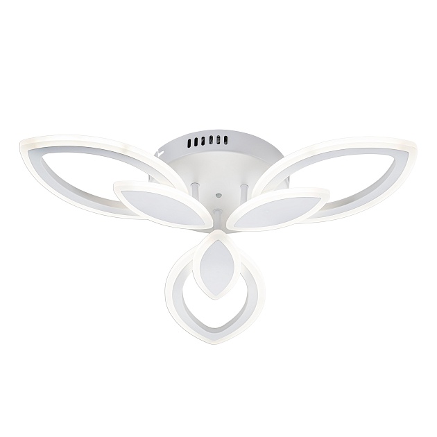 Потолочная светодиодная люстра Escada Gentle 10287/3LED Фото № 4