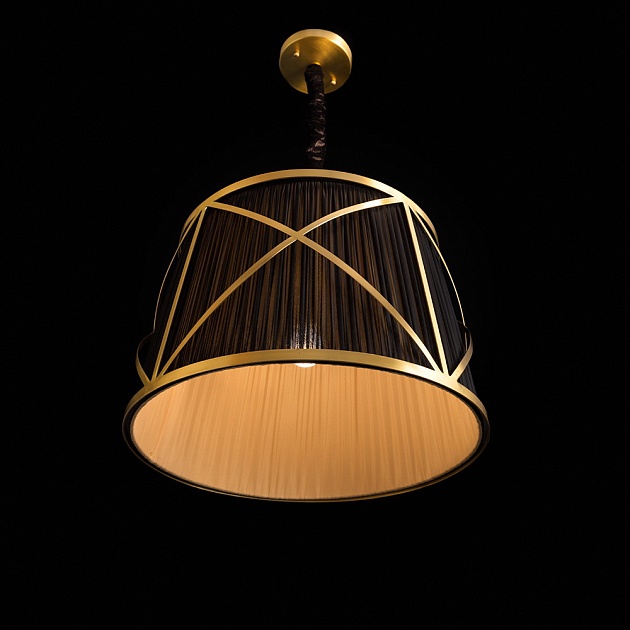 Подвесной светильник Arte Lamp Vitruvio A2805SP-1BK фото 7