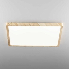 Светильник накладной Citilux Бейсик CL738K502V 5