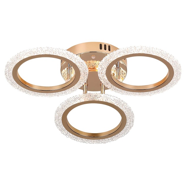 Потолочная светодиодная люстра Rivoli Evlalia 6178-703 Б0068399 Фото № 20