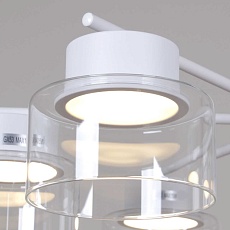 Люстра Reluce 48010-0.3-08 WT 1