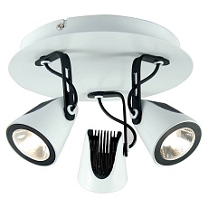 Спот Lussole Loft LSN-4101-03