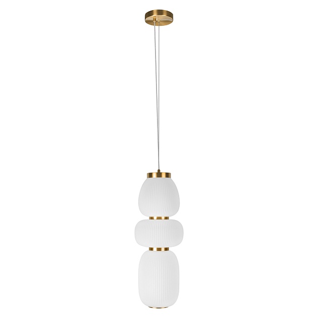 Подвесной светильник Loft It Duff 10422/C Фото № 1