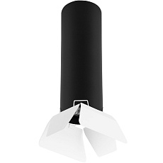 Комплект с потолочным светильником Lightstar Rullo (214497+202436) R497436