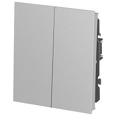 Переключатель ЭРА Arktik 16-1106-03 двойной 10АХ-250В алюминий Б0070366 3