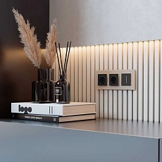 Сенсорный диммер Werkel с подсветкой черный W3443111 4690389195457 3