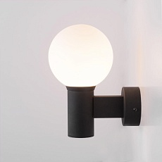 Уличный настенный светильник Elektrostandard Sfera 35126/D черный a060122 1