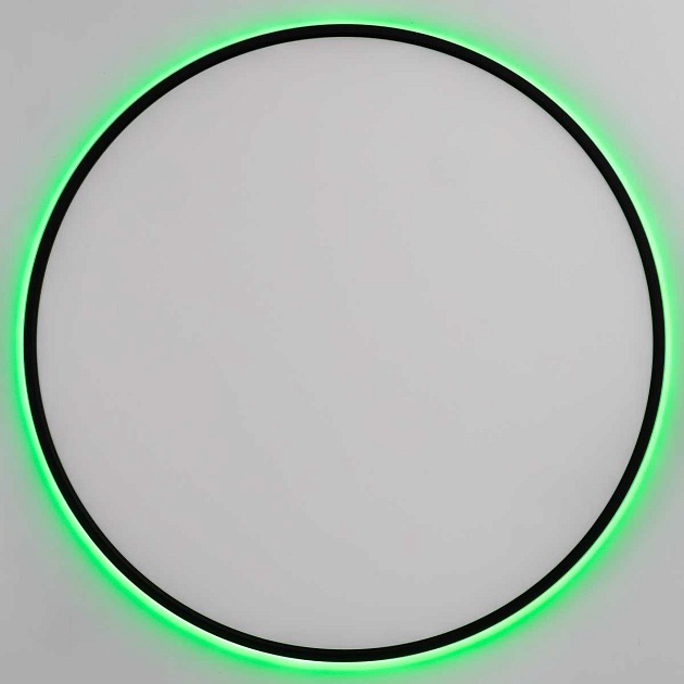 Потолочный светильник Citilux NORMA CL749601 Фото № 12