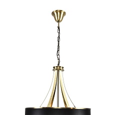 Подвесная люстра Lumion Demetra Moderni 8406/9 5
