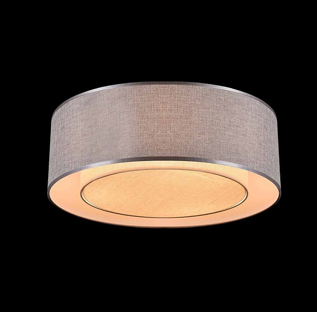 Потолочный светильник Maytoni Bergamo MOD613CL-04GR Фото № 5