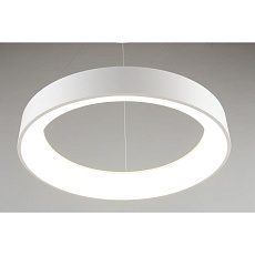 Подвесной светодиодный светильник Aployt Michell APL.052.03.60 5