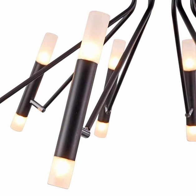 Потолочная люстра Maytoni Vigo MOD620CL-16B Фото № 5