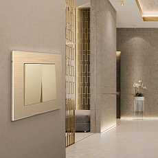 Рамка Werkel Aluminium на 1 пост шампань алюминий W0011711 4690389158001 3