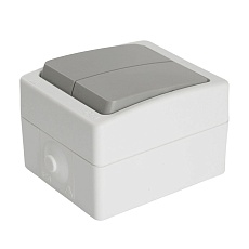 Выключатель двухклавишный Stekker Велена белый/серый PSW10-221-54 49733 5