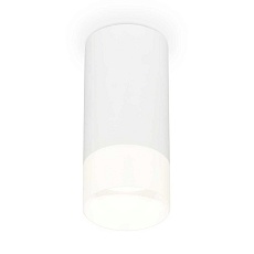 Комплект накладного светильника Ambrella light Techno Spot XS (C8161, N8402) XS8161003