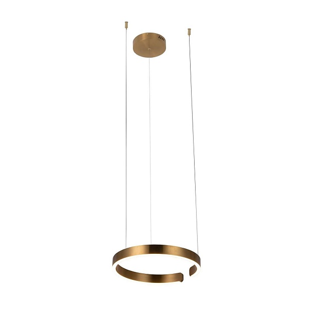 Подвесной светодиодный светильник Loft IT Ring 10013S изображение 1 Подвесной светодиодный светильник Loft IT Ring 10013S Фото № 1