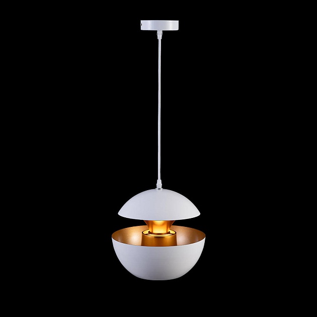 Подвесной светильник Loft IT Apple LOFT2213-A изображение 3 Подвесной светильник Loft IT Apple LOFT2213-A Фото № 3