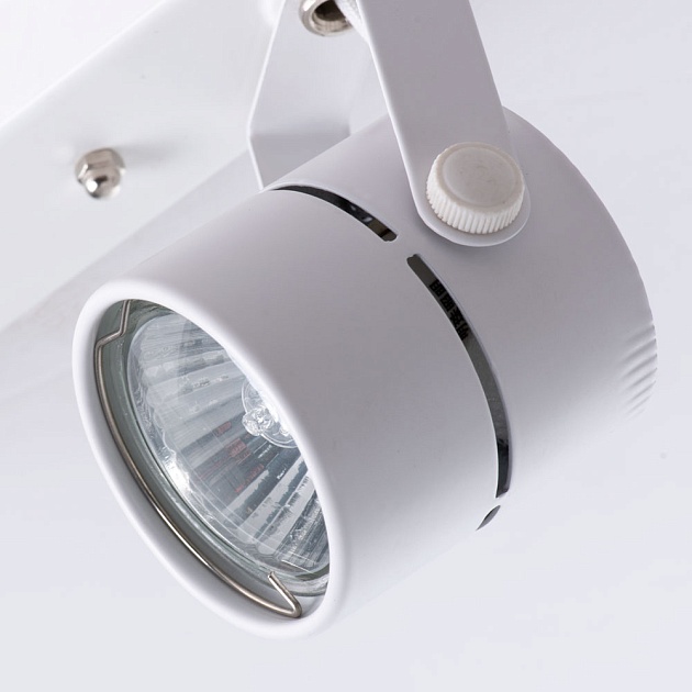 Потолочный светильник Arte Lamp A1311PL-2WH изображение 3 Потолочный светильник Arte Lamp A1311PL-2WH Фото № 3